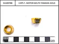 Caps for motor bolts Yamaha 2021,anodized gold,Yamaha mid-motor